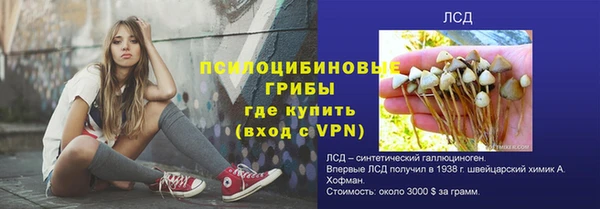 эйфоретик Нея