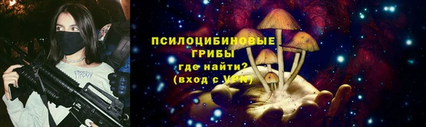 мескалин Надым